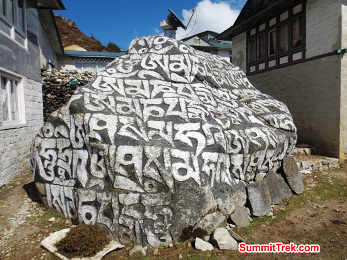 Boulder carved with prayers lies between two buildings in Pangboche. Note the satellite dish on top and the pile of wild herbs drying at the lower left. Hannah Rolfson Photo