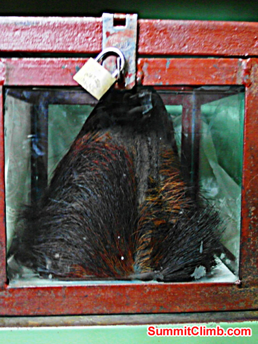 Yeti scalp in Khumjhung Monastery. Monika Witkowska Photo
