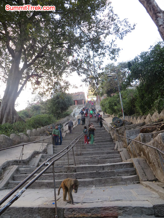 Long stairs to reach Shoyambhu Nath. Photo Aless.