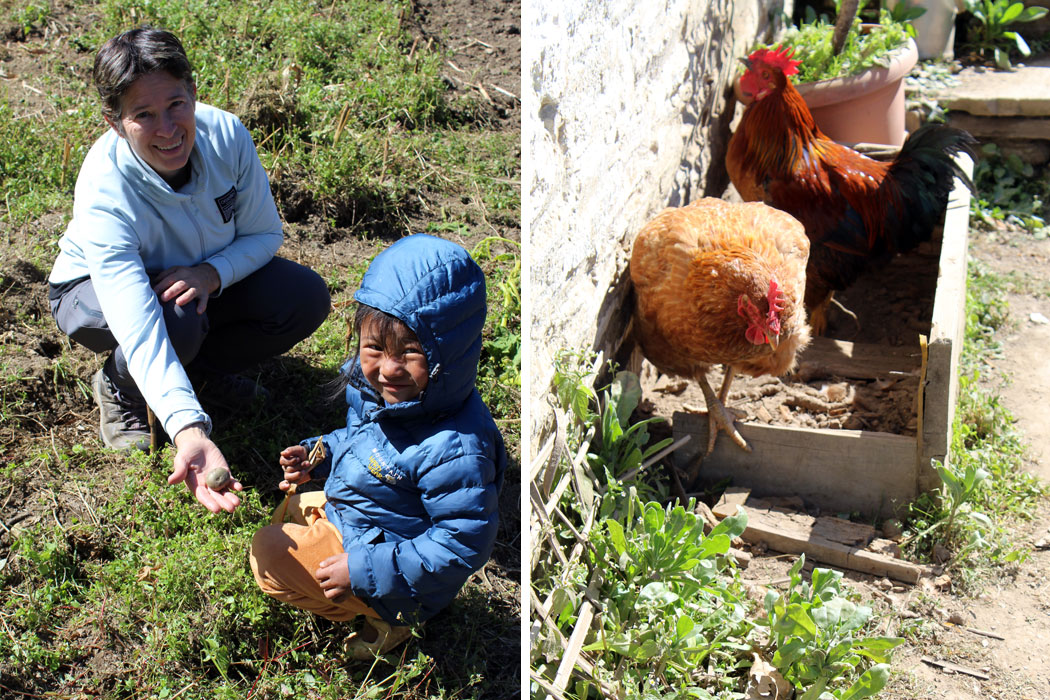 Dr. Jen enjoying with kid Chicken farming